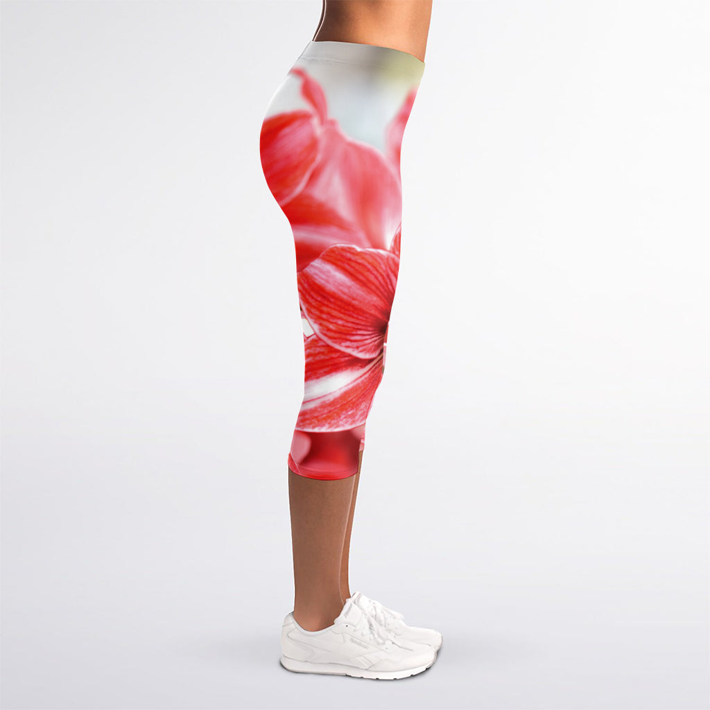Amaryllis Flower Print Women's Capri Leggings