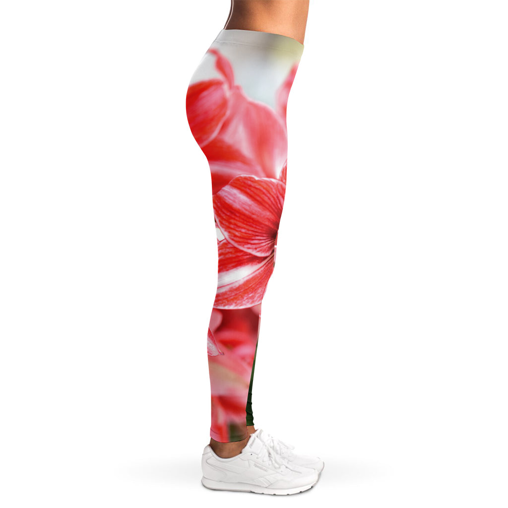 Amaryllis Flower Print Women's Leggings