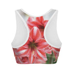Amaryllis Flower Print Women's Sports Bra