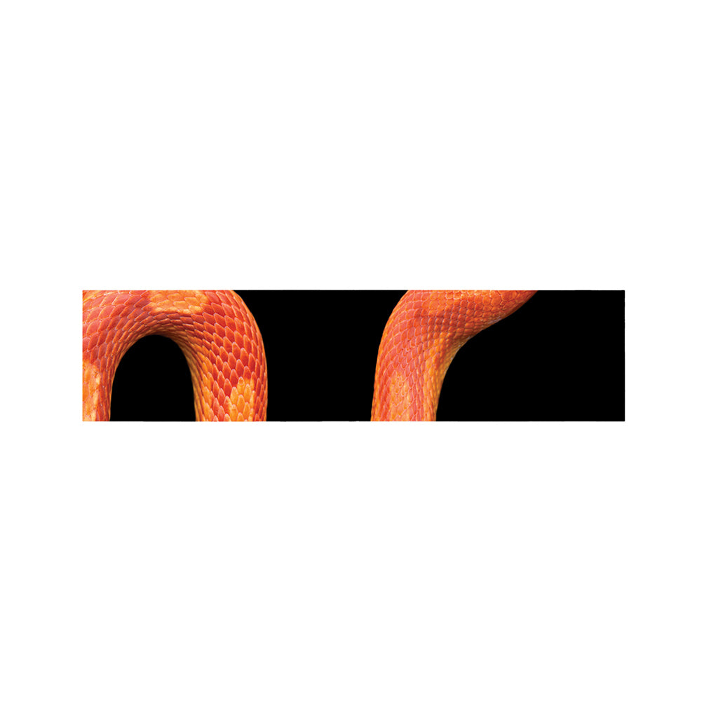 Amel Motley Corn Snake Print Bed Runner