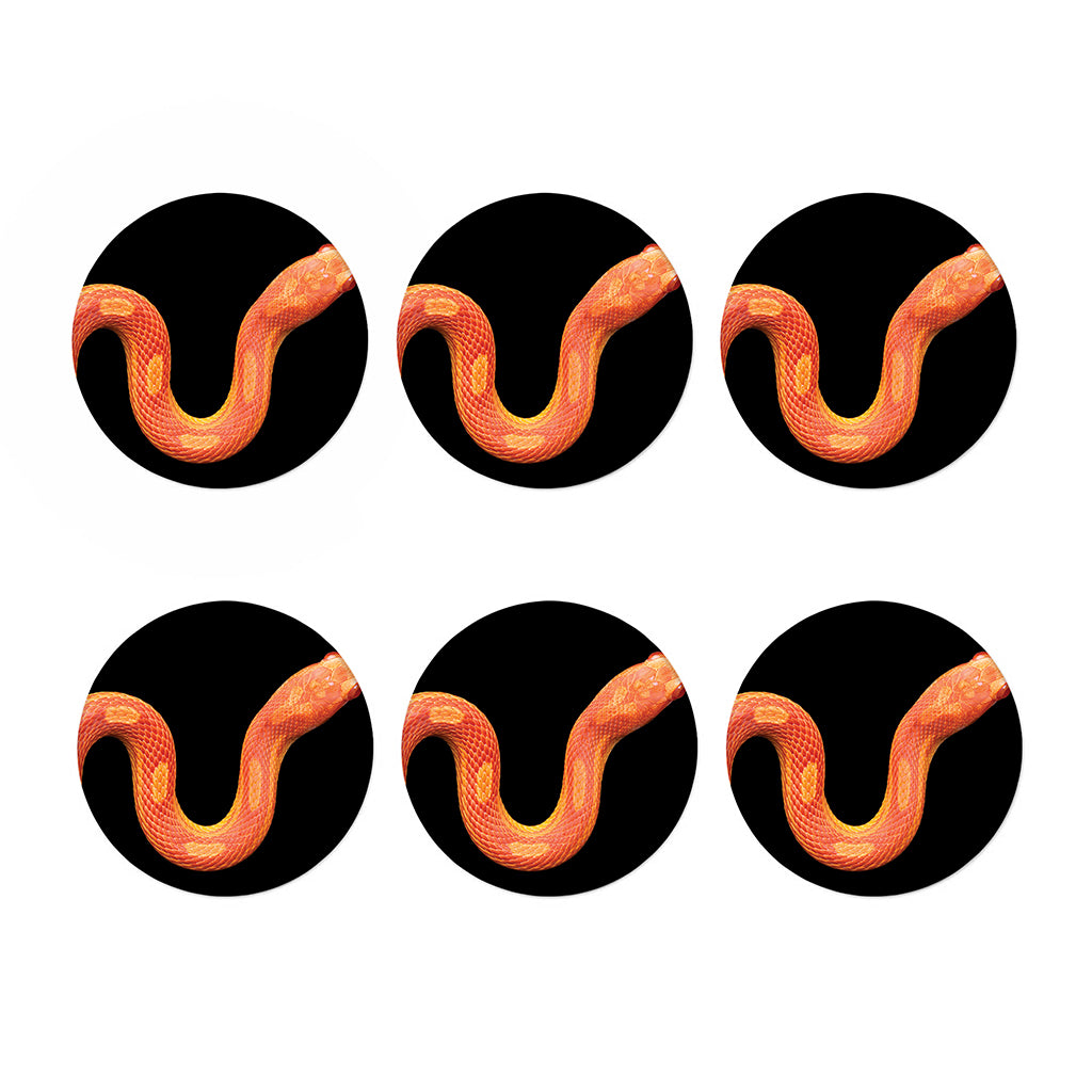Amel Motley Corn Snake Print Coaster Set