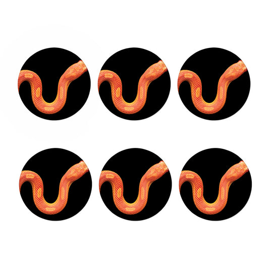 Amel Motley Corn Snake Print Coaster Set