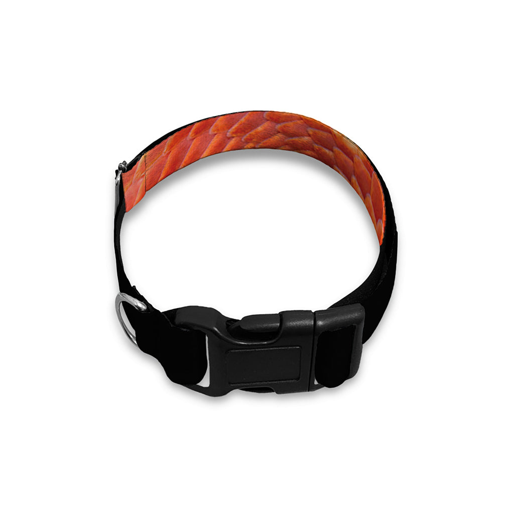 Amel Motley Corn Snake Print Dog Collar