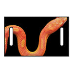 Amel Motley Corn Snake Print Golf Cart Seat Cover