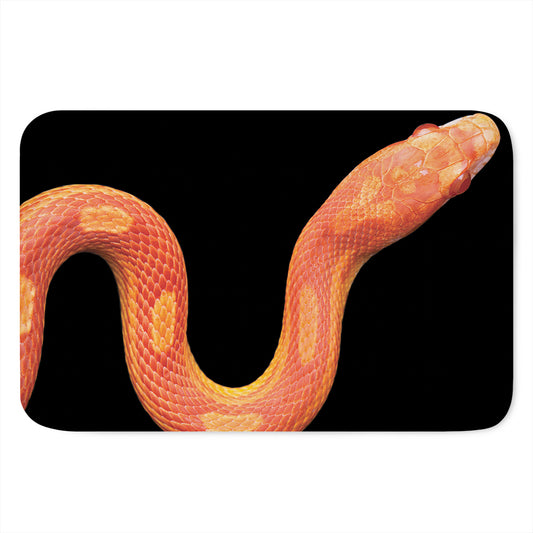 Amel Motley Corn Snake Print Indoor Door Mat