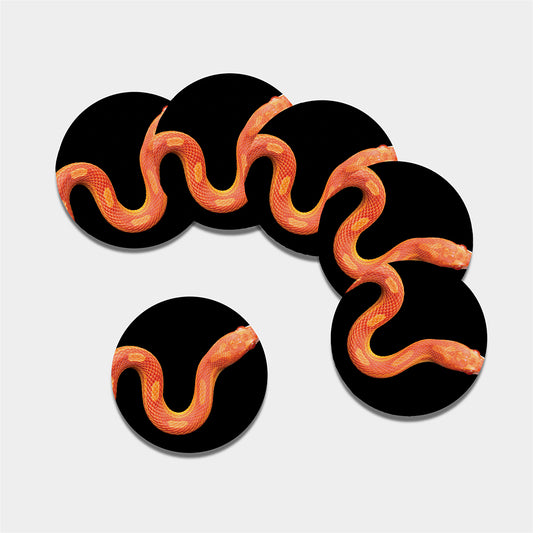 Amel Motley Corn Snake Print Leather Coaster Set