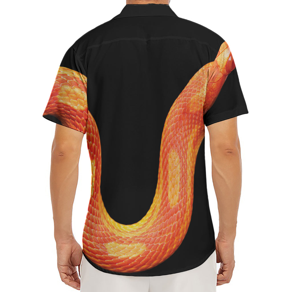 Amel Motley Corn Snake Print Men's Deep V-Neck Shirt