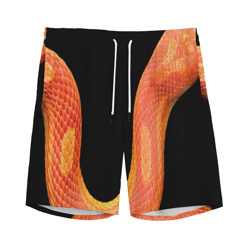 Amel Motley Corn Snake Print Men's Sports Shorts