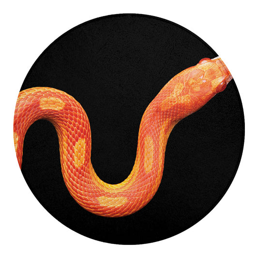 Amel Motley Corn Snake Print Round Blanket