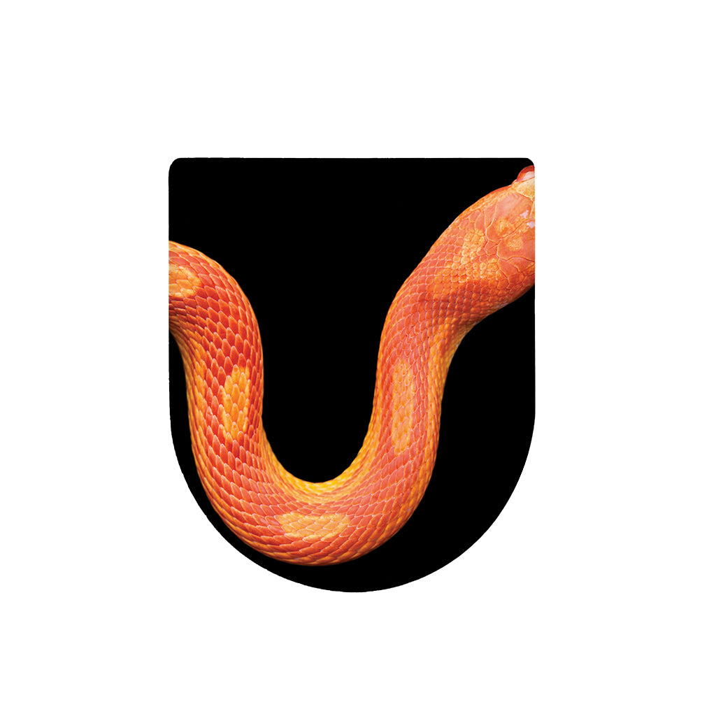 Amel Motley Corn Snake Print Toilet Lid Cover