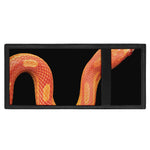 Amel Motley Corn Snake Print Trifold Wallet