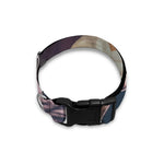 American Astronaut Cat Print Dog Collar