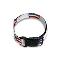 American Circle Flag Pattern Print Dog Collar