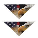 American Dream Of Liberty Print Dog Bandana