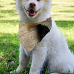 American Dream Of Liberty Print Over The Collar Dog Bandana