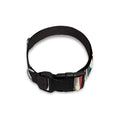 American Flag Skull Print Dog Collar