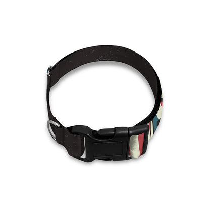 American Flag Skull Print Dog Collar