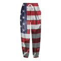 American Flag War Memorial Print Fleece Lined Knit Pants