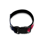 American Flag Wing Print Dog Collar