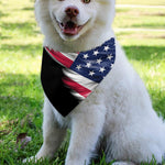 American Flag Wing Print Over The Collar Dog Bandana
