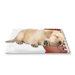 American Football Ball Print Pet Cooling Mat Cover