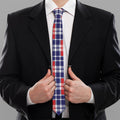 American Independence Day Plaid Print Necktie