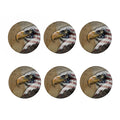 American Land Of Liberty Print Coaster Set