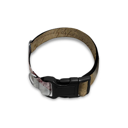 American Land Of Liberty Print Dog Collar
