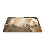 American Land Of Liberty Print Pet Cooling Mat Cover