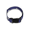 American Little Star Pattern Print Dog Collar