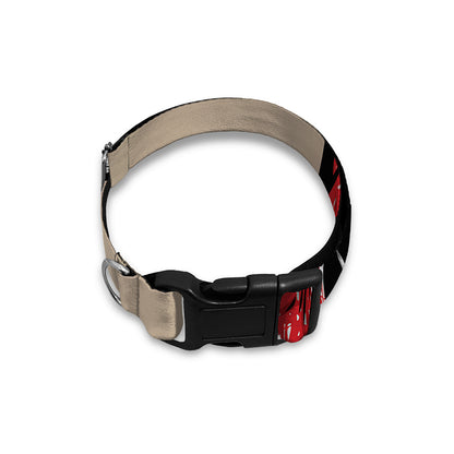 American Patriotic Skull Print Dog Collar