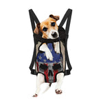 American Patriotic Skull Print Pet Carrier Backpack
