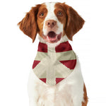 American Peace Flag Print Dog Bandana