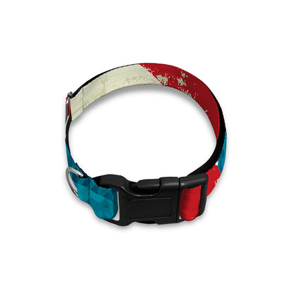 American Statue of Liberty Print Dog Collar