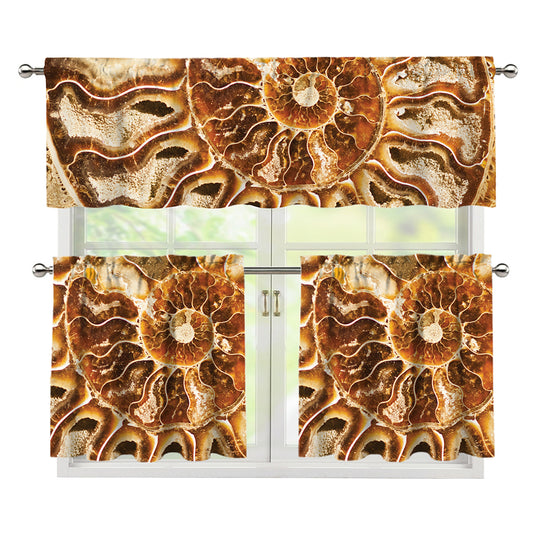Ammonite Fossil Print 3 Piece Kitchen Curtains