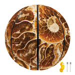 Ammonite Fossil Print Basketball