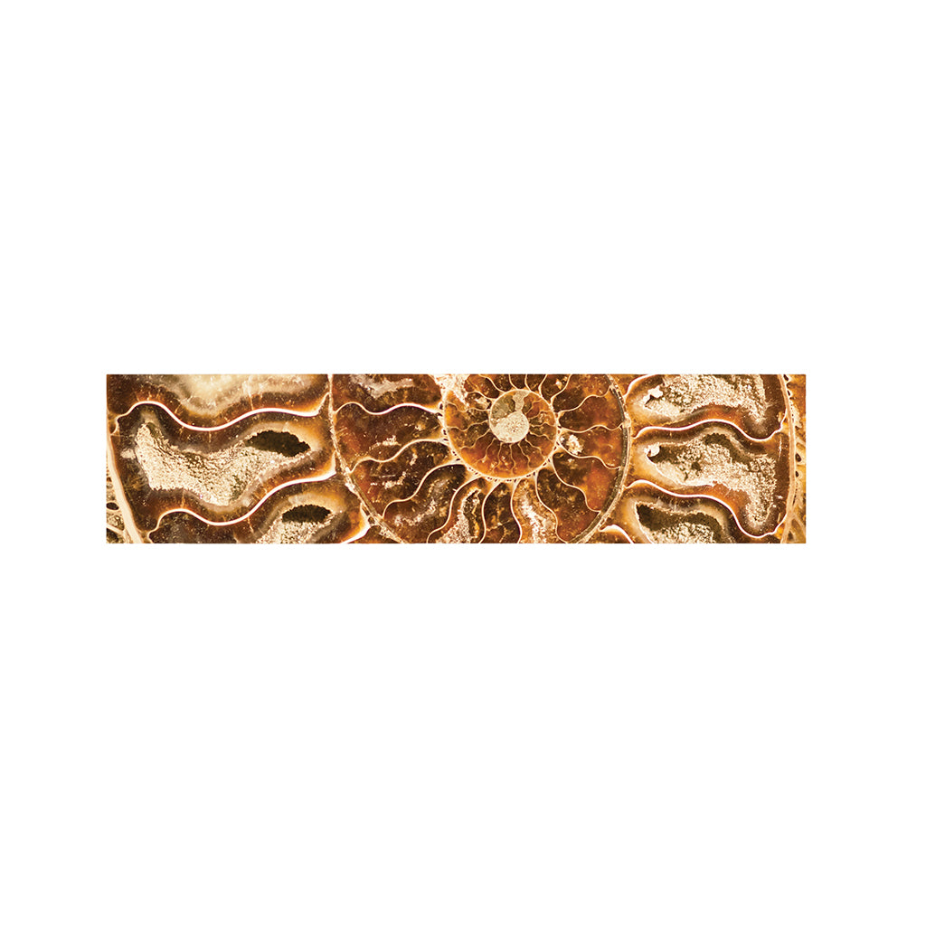 Ammonite Fossil Print Bed Runner