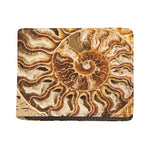 Ammonite Fossil Print Bifold Wallet