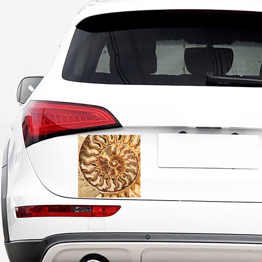 Ammonite Fossil Print Car Sticker