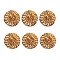 Ammonite Fossil Print Coaster Set