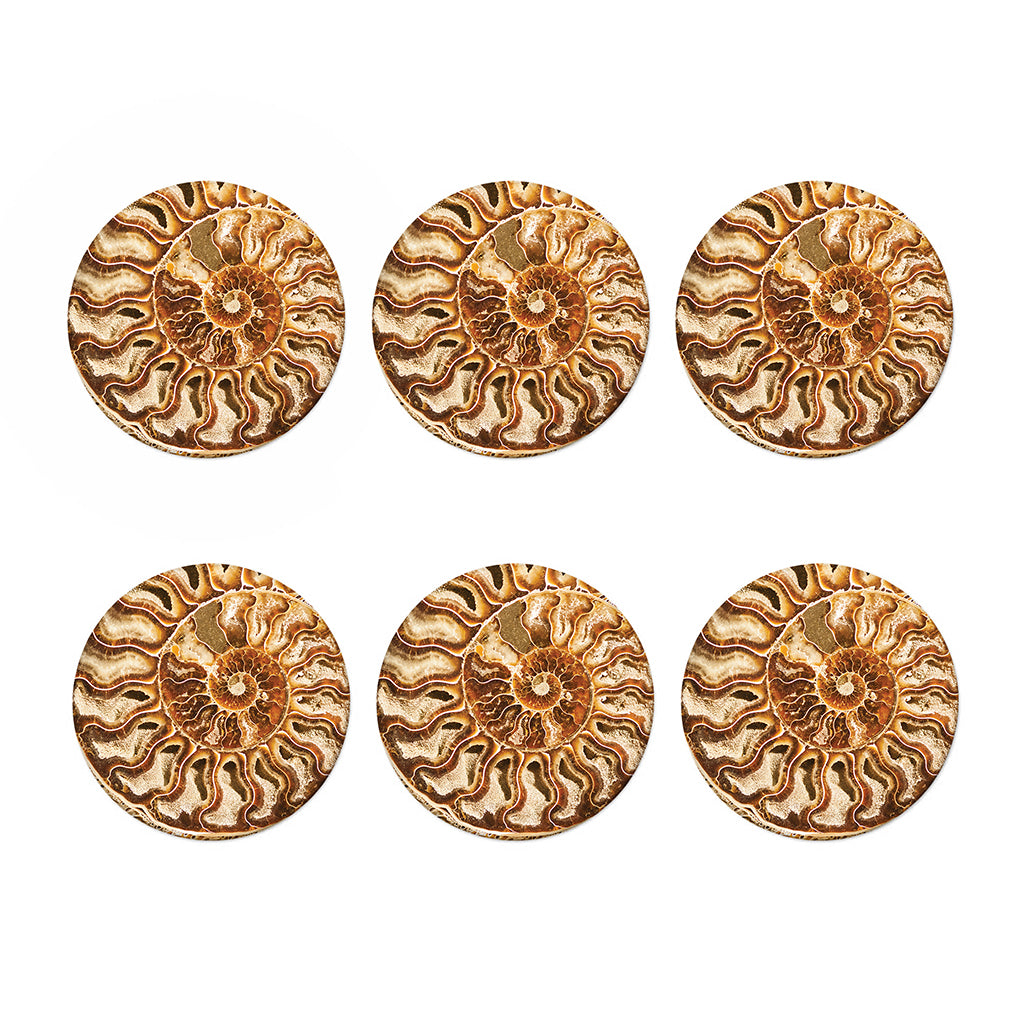 Ammonite Fossil Print Coaster Set