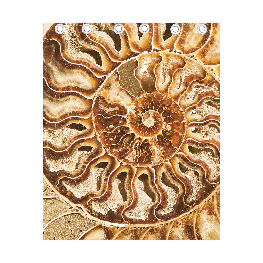 Ammonite Fossil Print Curtain