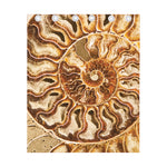 Ammonite Fossil Print Curtain