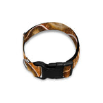 Ammonite Fossil Print Dog Collar