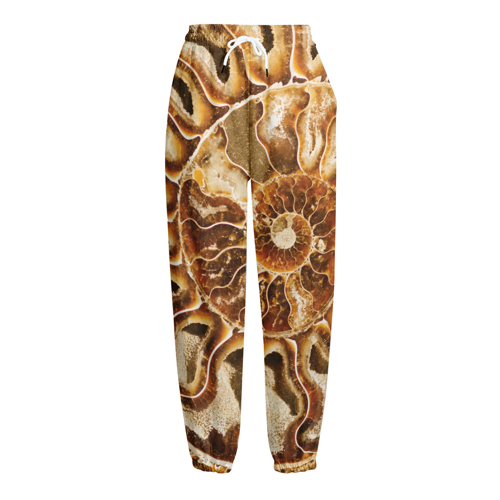 Ammonite Fossil Print Fleece Lined Knit Pants