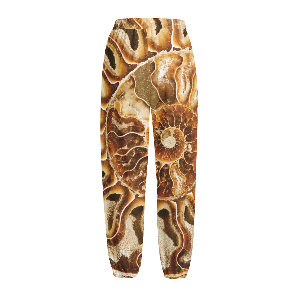 Ammonite Fossil Print Fleece Lined Knit Pants
