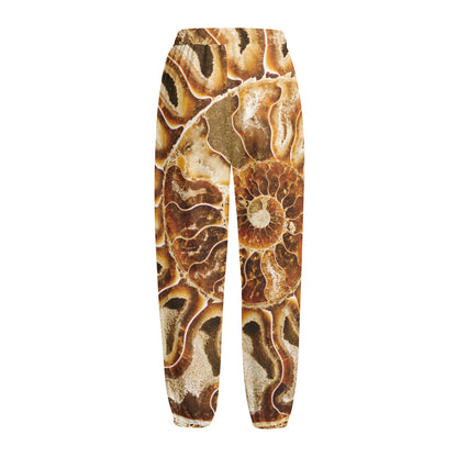 Ammonite Fossil Print Fleece Lined Knit Pants