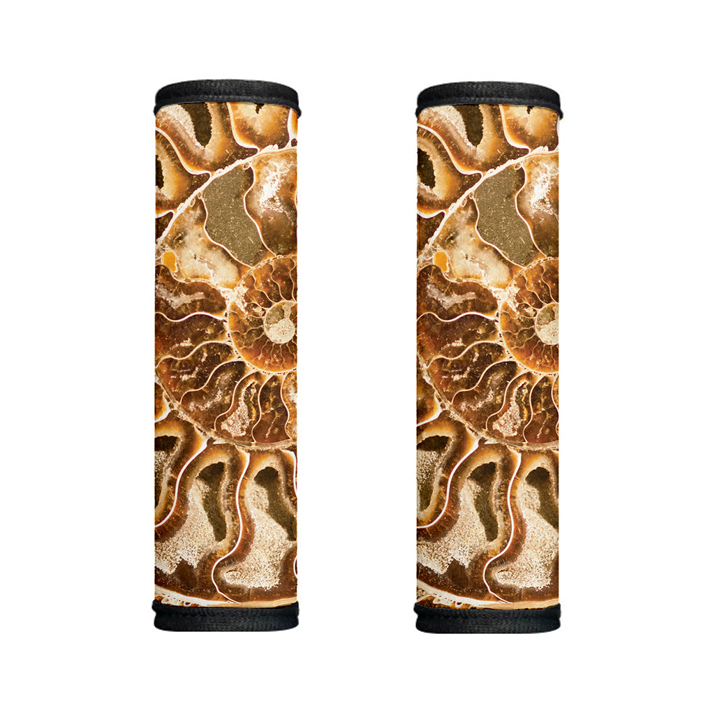 Ammonite Fossil Print Handle Covers