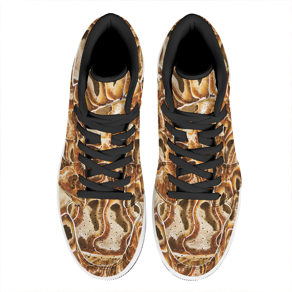 Ammonite Fossil Print High Top Leather Sneakers