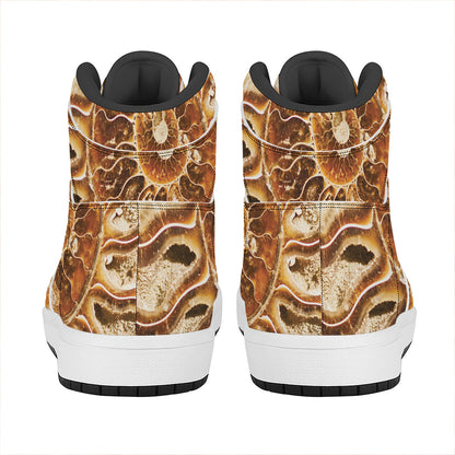Ammonite Fossil Print High Top Leather Sneakers